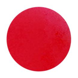 D.nail ホッピングジェル 2g 29 #8779
