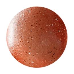 D.nail カラージェル シンフォニーマグジェル 7g SF10 #8855