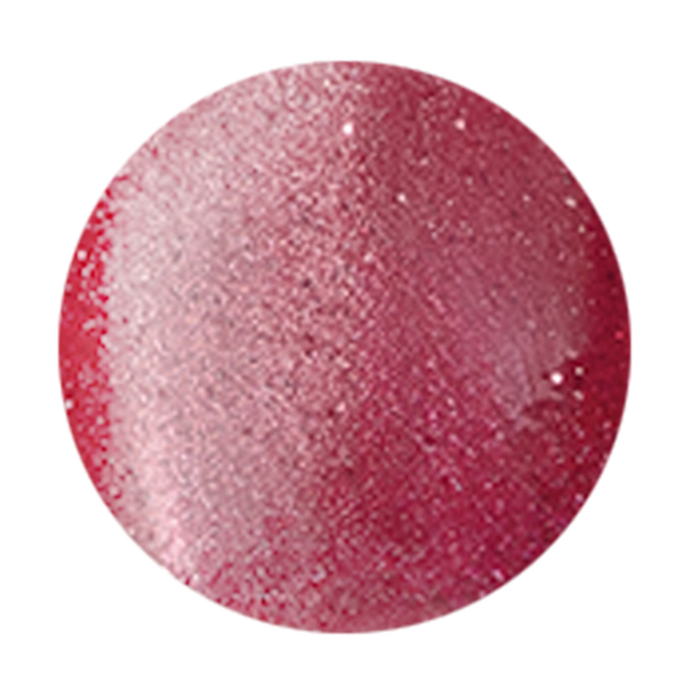 D.nail カラージェル シンフォニーマグジェル 7g SF11 #8856