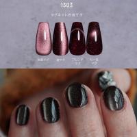 エメナ マグネティフラッシュジェル 8g 1301 E-MF1301