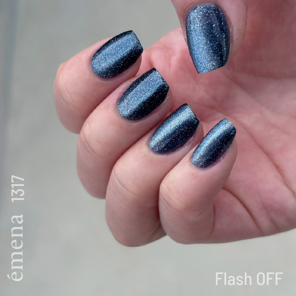エメナ マグネティフラッシュジェル 8g トワイライトゾーン 1317 E-MF1317