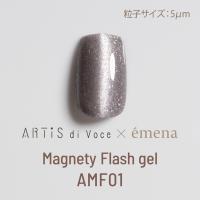 エメナ マグネティフラッシュジェル 8g AMF01 E-MFAMF01