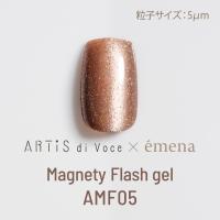 エメナ マグネティフラッシュジェル 8g AMF05 E-MFAMF05