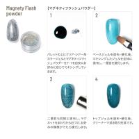 エメナ マグネティフラッシュパウダー 0.15g MFP01 E-MFP01