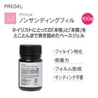PREGEL ノンサンディングフィル 100g PG-NF-100