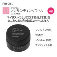 PREGEL ノンサンディングフィル 4g 工程表付き PG-NF-4QR