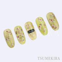 ツメキラ TSUKIプロデュース ペタル NN-TSU-001