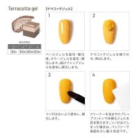 エメナ テラコッタジェル 4g 0752 E-TR0752