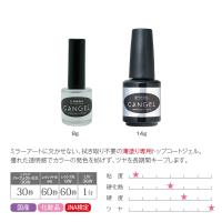 PREGEL ノンワイプクリア キャンジェル 8g