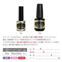 PREGEL ノンワイプクリア キャンジェルEX 14g