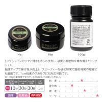 PREGEL トップシャインa 100g