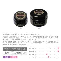 PREGEL ノンワイプクリアアートジェル 4g