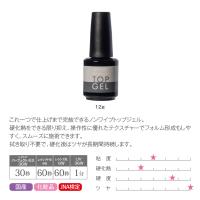 PREGEL ノンワイプクリア トップジェル 12g