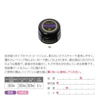 PREGEL マットコートR 4g PG-MC-4R