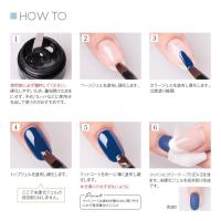 PREGEL マットコートR 4g PG-MC-4R