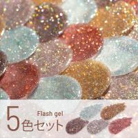 エメナ フラッシュジェル 8g 5色セット 1017-1021 EMENA-FL5E