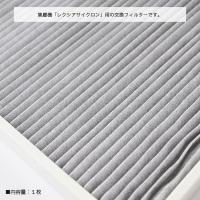 PREGEL レクシアサイクロン用交換フィルター