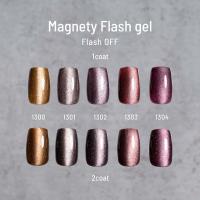 エメナ マグネティフラッシュジェル 8g 5色セット 1300-1304 EMENA-MF5A