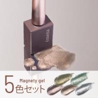 エメナ マグネティジェル 8g 5色セット 0526-0530 EMENA-MG5C / NES