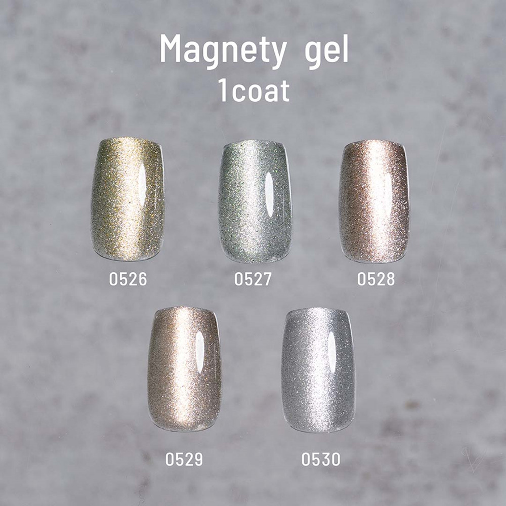 エメナ マグネティジェル 8g 5色セット 0526-0530 EMENA-MG5C / NES