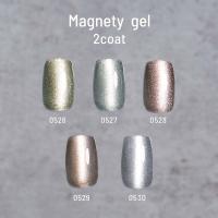 エメナ マグネティジェル 8g 5色セット 0526-0530 EMENA-MG5C