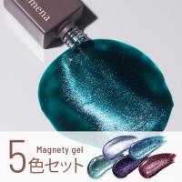 エメナ マグネティジェル 8g 5色セット  EMENA-MG5L