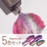 エメナ マグネティジェル 8g 5色セット 0521-0525 EMENA-MG5M