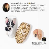 プリアンファ ディフェンダー ぺりっと 12ml PA-DFNPRT-12