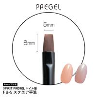 PREGEL スピリッツ スクエア平筆 SP-FB5