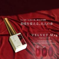 WSPT JAPAN ライジンジェル カラージェル 7ml ベルベットマグ GE61147