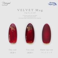 WSPT JAPAN ライジンジェル カラージェル 7ml ベルベットマグ GE61147