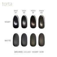 WSPT JAPAN トルタ ノワールマグ 3g モカ01 tmoca01