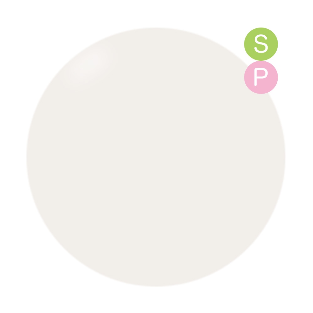 PRESTO アンリミテッドカラー 2.7g CA013