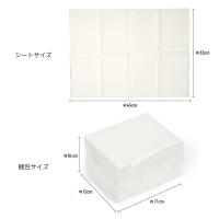 PREGEL ネイルシート ホワイト 50枚入 PG-NS-WH50