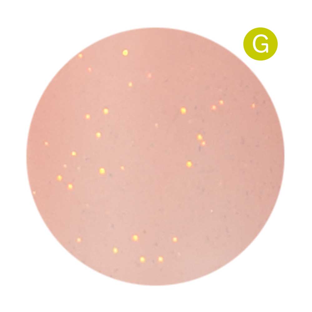 PREGEL カラーEX 3g PG-CE977 おめかしアプリコット