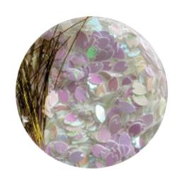 KiraNail HOLOGRAM 花びら ケース入 ホワイトオーロラ HO-SAK-WHO