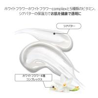 BANDI フラワービタ エッセンスローション 250ml モスウッディ