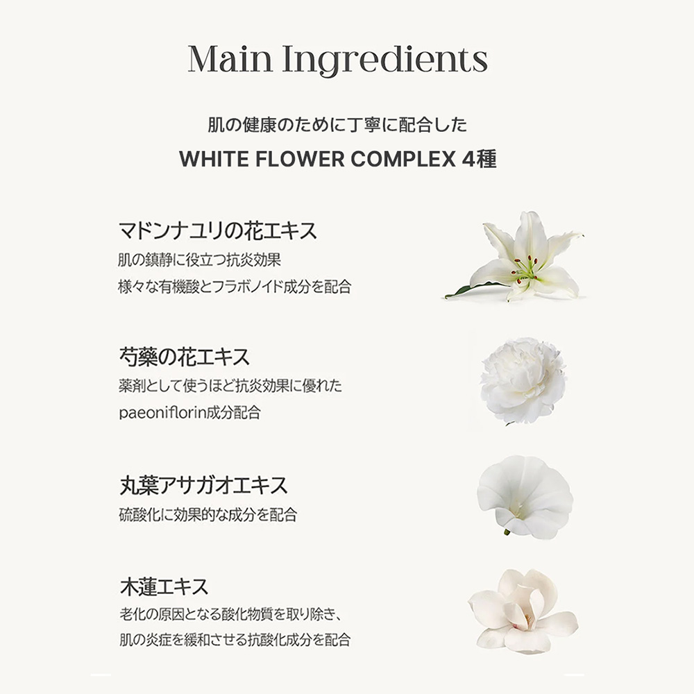 BANDI フラワービタ エッセンスローション 250ml モスウッディ