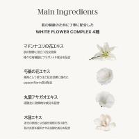 BANDI フラワービタ エッセンスローション 250ml ライムフォレスト