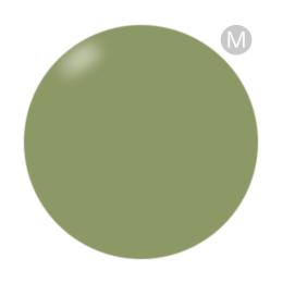 PRESTO アンリミテッドカラー 2.7g BT029