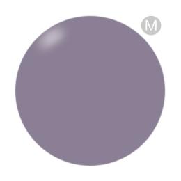 PRESTO アンリミテッドカラー 2.7g BT030