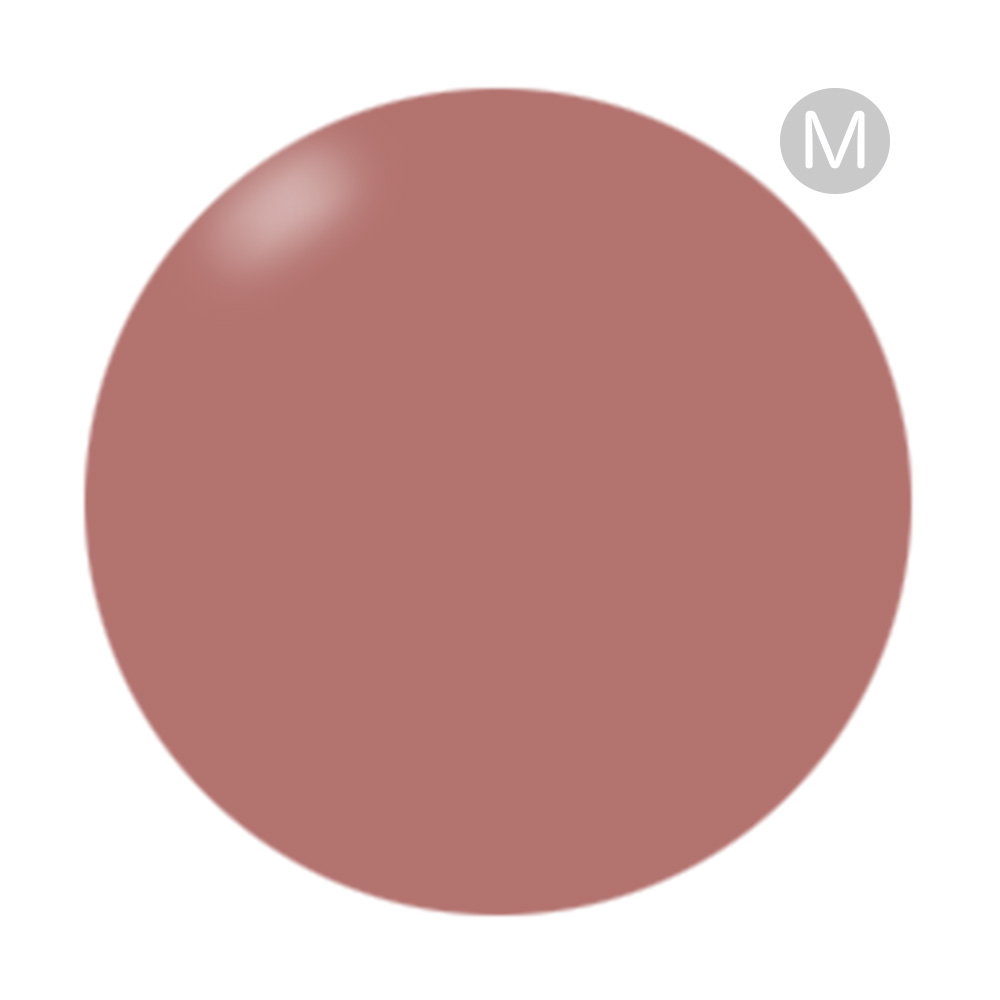 PRESTO アンリミテッドカラー 2.7g BT034