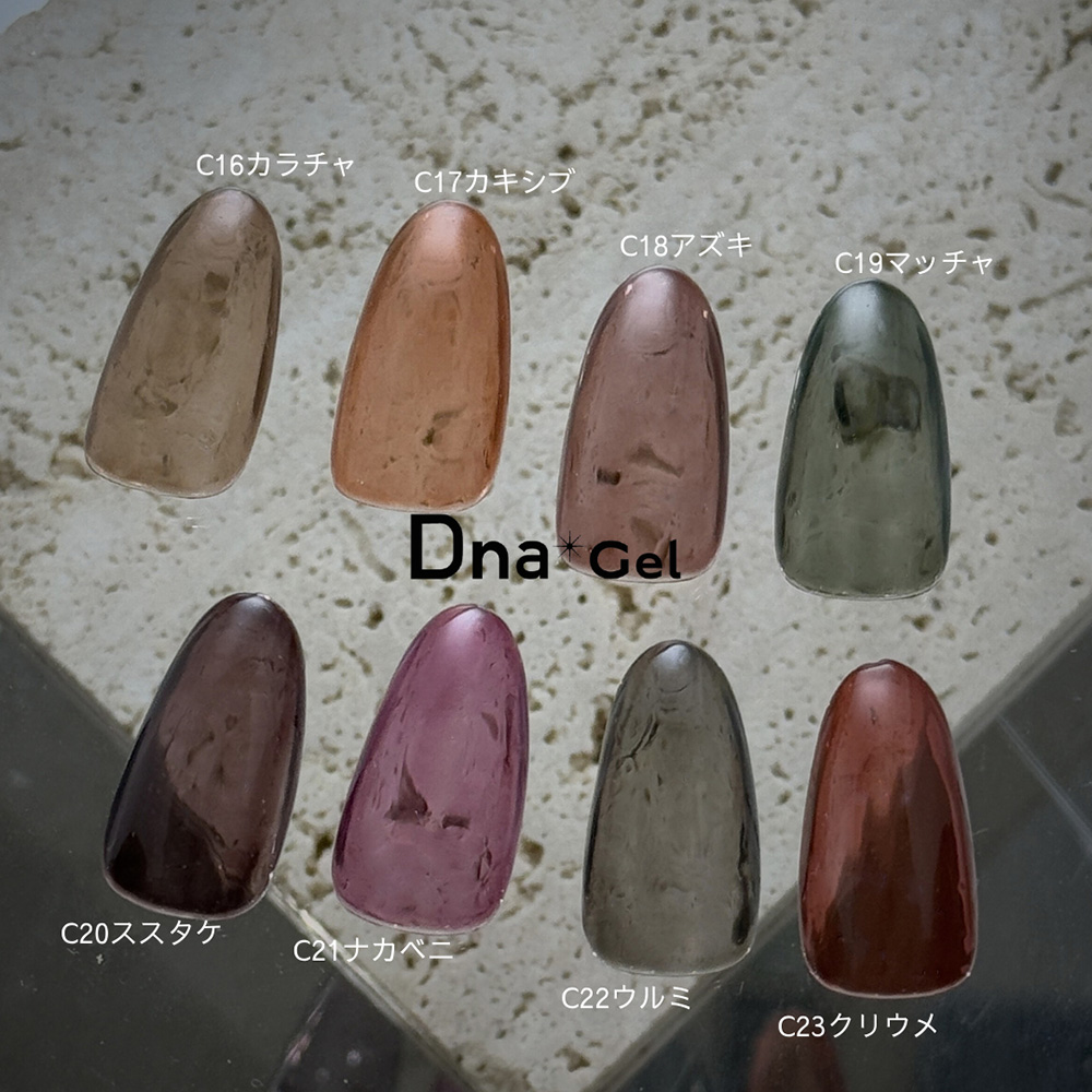 Dna Gel カラージェル 2.5g C16 カラチャ