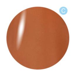 Dna Gel カラージェル 2.5g C17 カキシブ