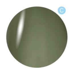 Dna Gel カラージェル 2.5g C19 マッチャ