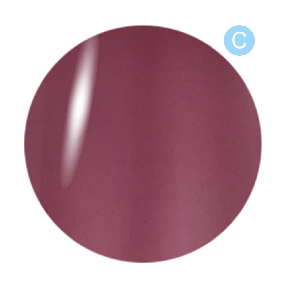 Dna Gel カラージェル 2.5g C21 ナカベニ