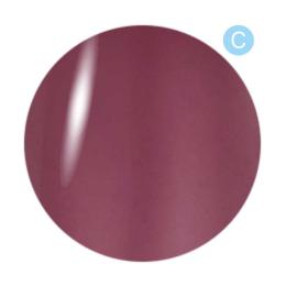 Dna Gel カラージェル 2.5g C21 ナカベニ