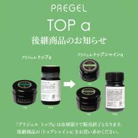 PREGEL トップシャインa 15g