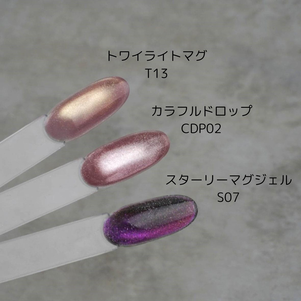 D.nail トワイライトマグ 7g T25 ダークブラウン #7213