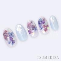 ツメキラ yumiプロデュース 紫陽花 ミニサイズ スモーキー NN-YMI-006